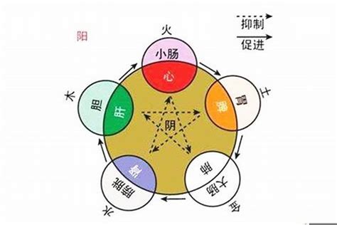 庭字五行|庭字的五行属性分析康熙字典笔画数含义寓意详解